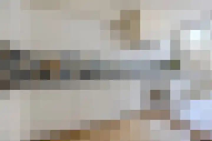 Appelgaarde 293 Voorburg thumbnail 9