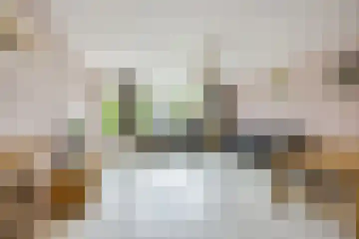 Appelgaarde 315 Voorburg thumbnail 11