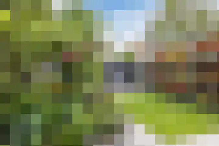 Appelgaarde 315 Voorburg thumbnail 12