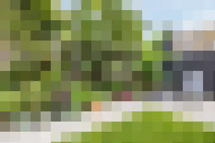 Appelgaarde 315 Voorburg thumbnail 13