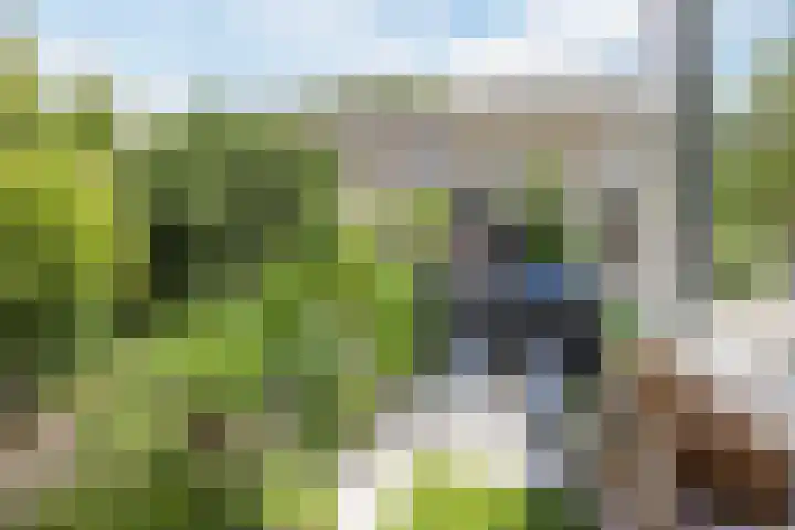 Appelgaarde 315 Voorburg thumbnail 28
