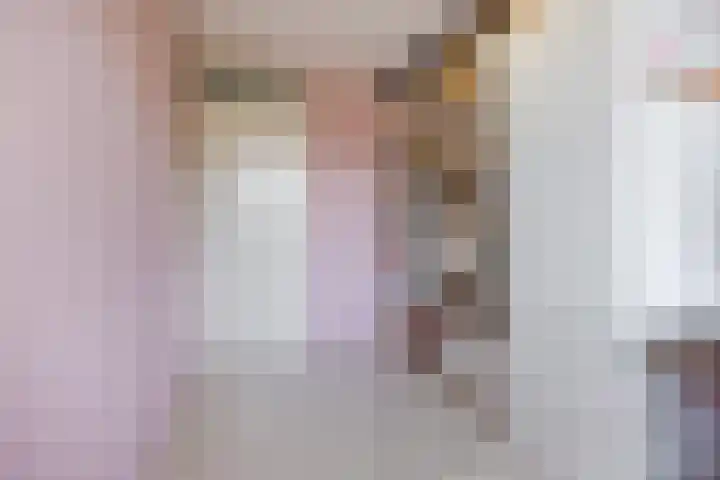 Appelgaarde 315 Voorburg thumbnail 30