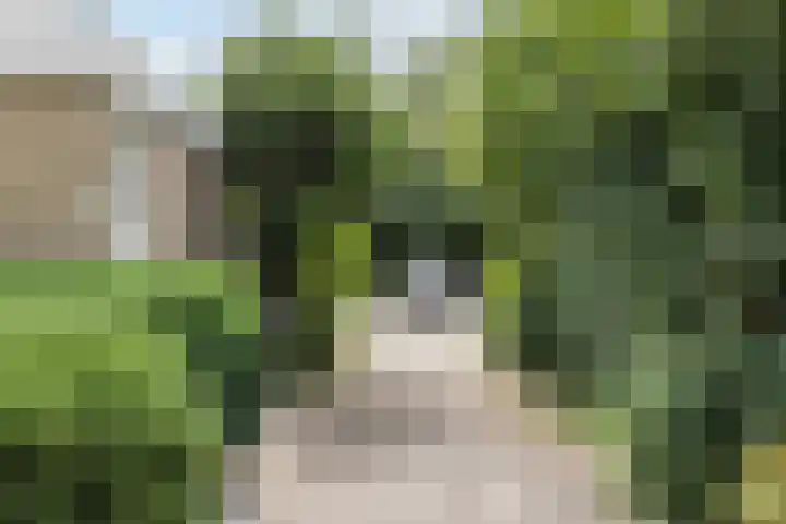 Appelgaarde 315 Voorburg thumbnail 31