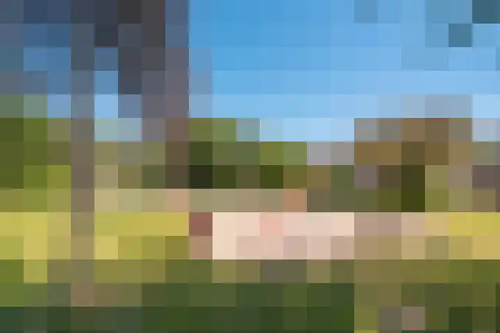Appelgaarde 315 Voorburg thumbnail 32