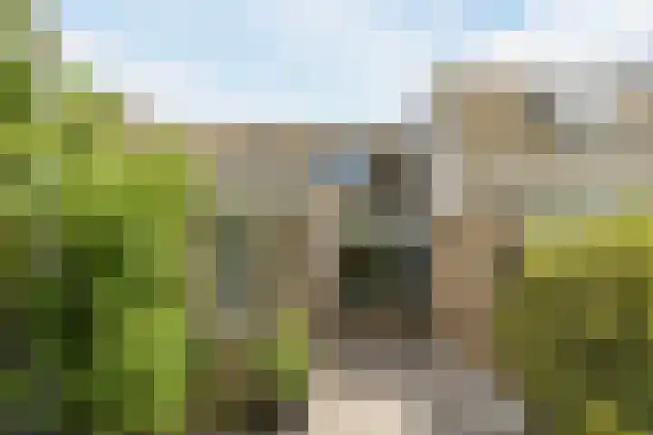 Appelgaarde 315 Voorburg thumbnail 6