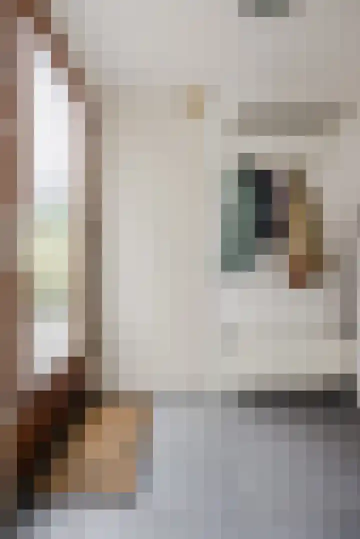 Appelgaarde 315 Voorburg thumbnail 7