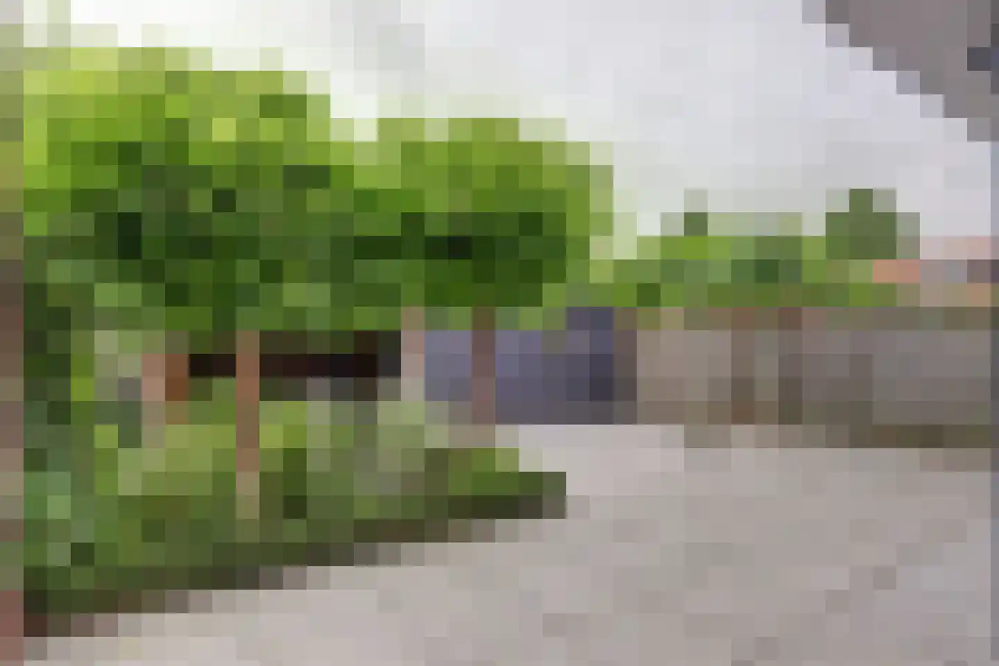 Appelgaarde 33 Hendrik-Ido-Ambacht thumbnail 39