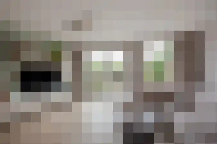 Appelgaarde 36 Zoetermeer thumbnail 17