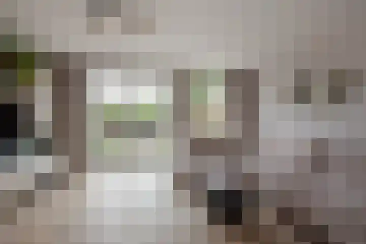 Appelgaarde 36 Zoetermeer thumbnail 18