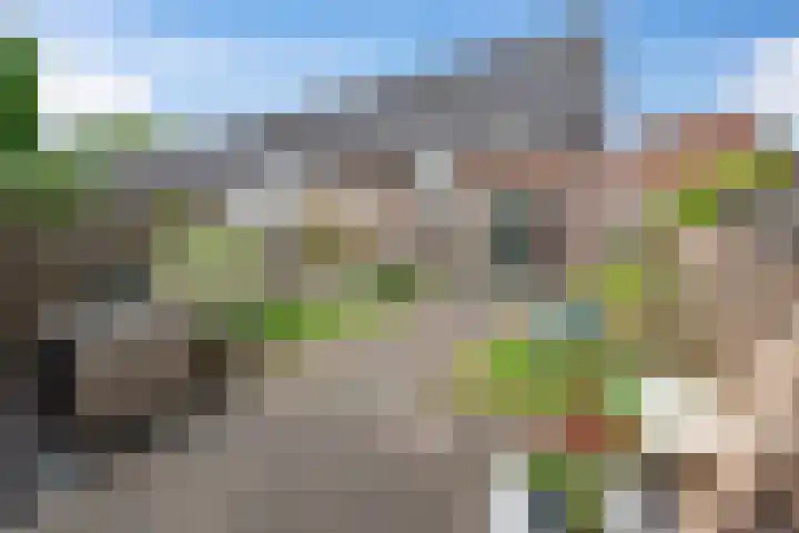 Appelgaarde 36 Zoetermeer thumbnail 22