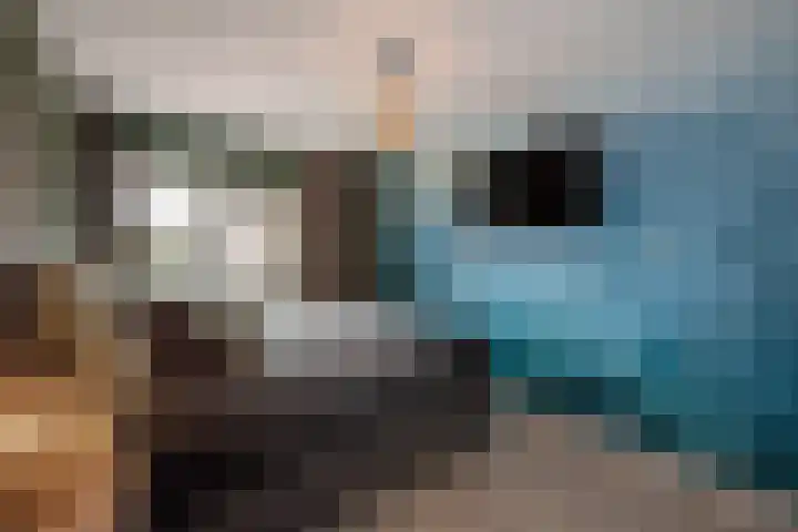 Appelgaarde 36 Zoetermeer thumbnail 25
