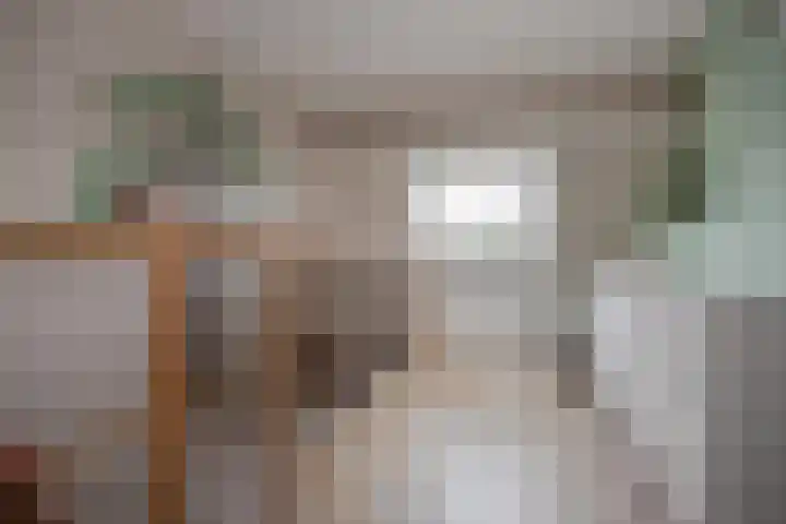 Appelgaarde 36 Zoetermeer thumbnail 28