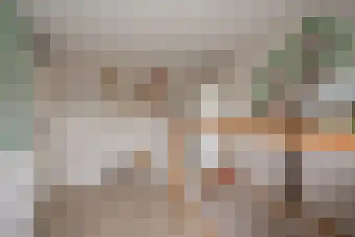 Appelgaarde 36 Zoetermeer thumbnail 29