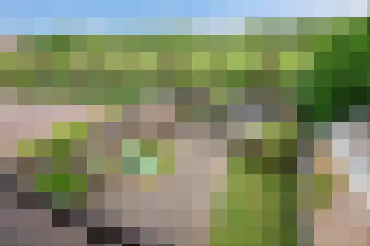 Appelgaarde 36 Zoetermeer thumbnail 31
