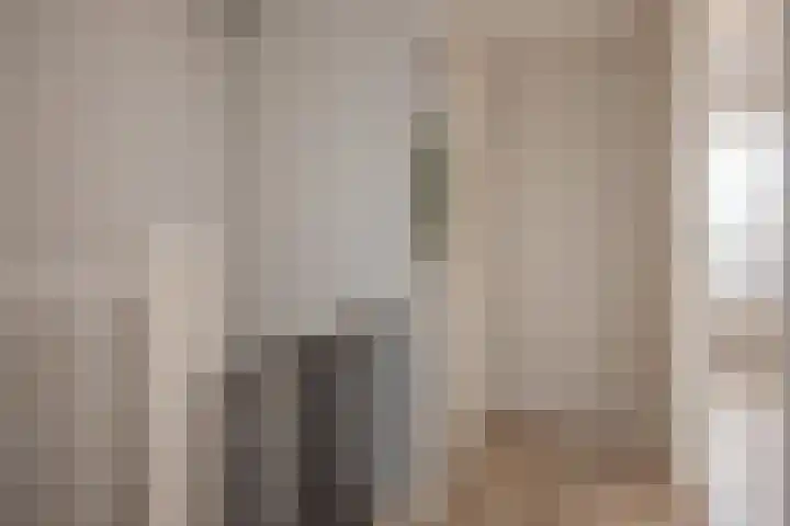 Appelgaarde 36 Zoetermeer thumbnail 35