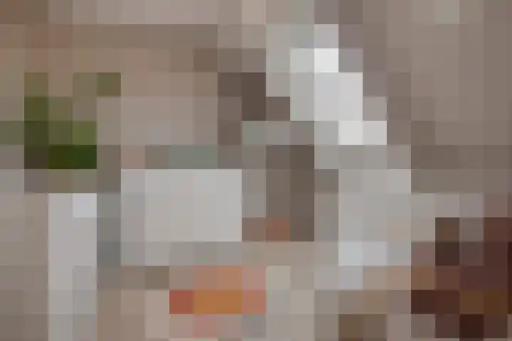Appelgaarde 36 Zoetermeer thumbnail 36