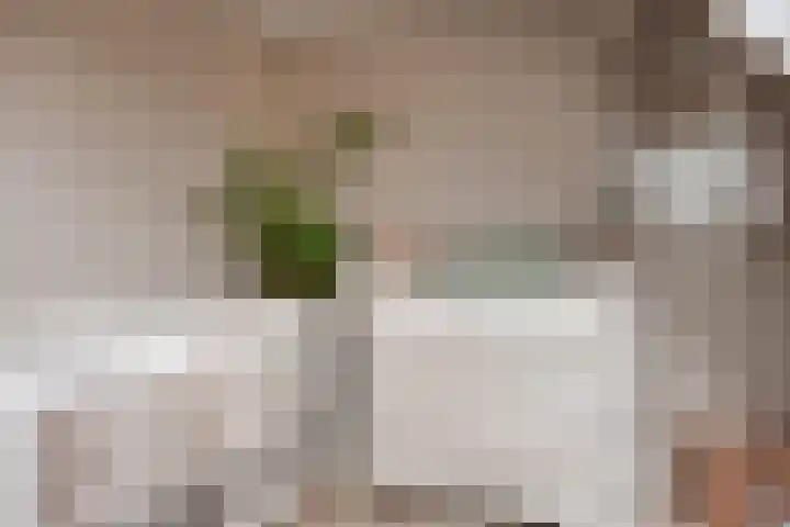 Appelgaarde 36 Zoetermeer thumbnail 37