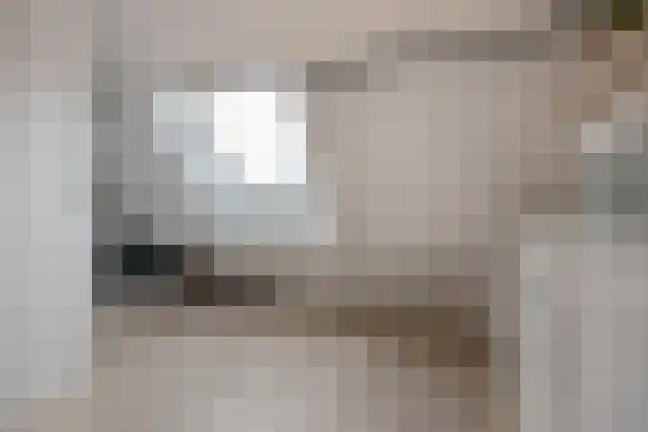 Appelgaarde 36 Zoetermeer thumbnail 38