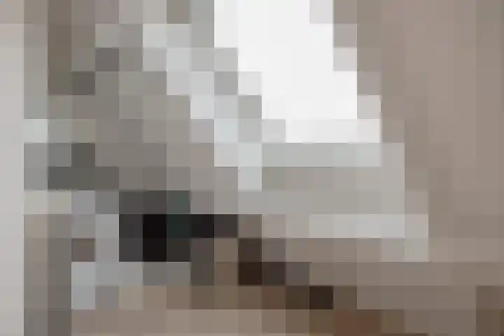 Appelgaarde 36 Zoetermeer thumbnail 39