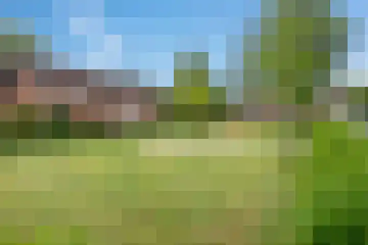 Appelgaarde 36 Zoetermeer thumbnail 40