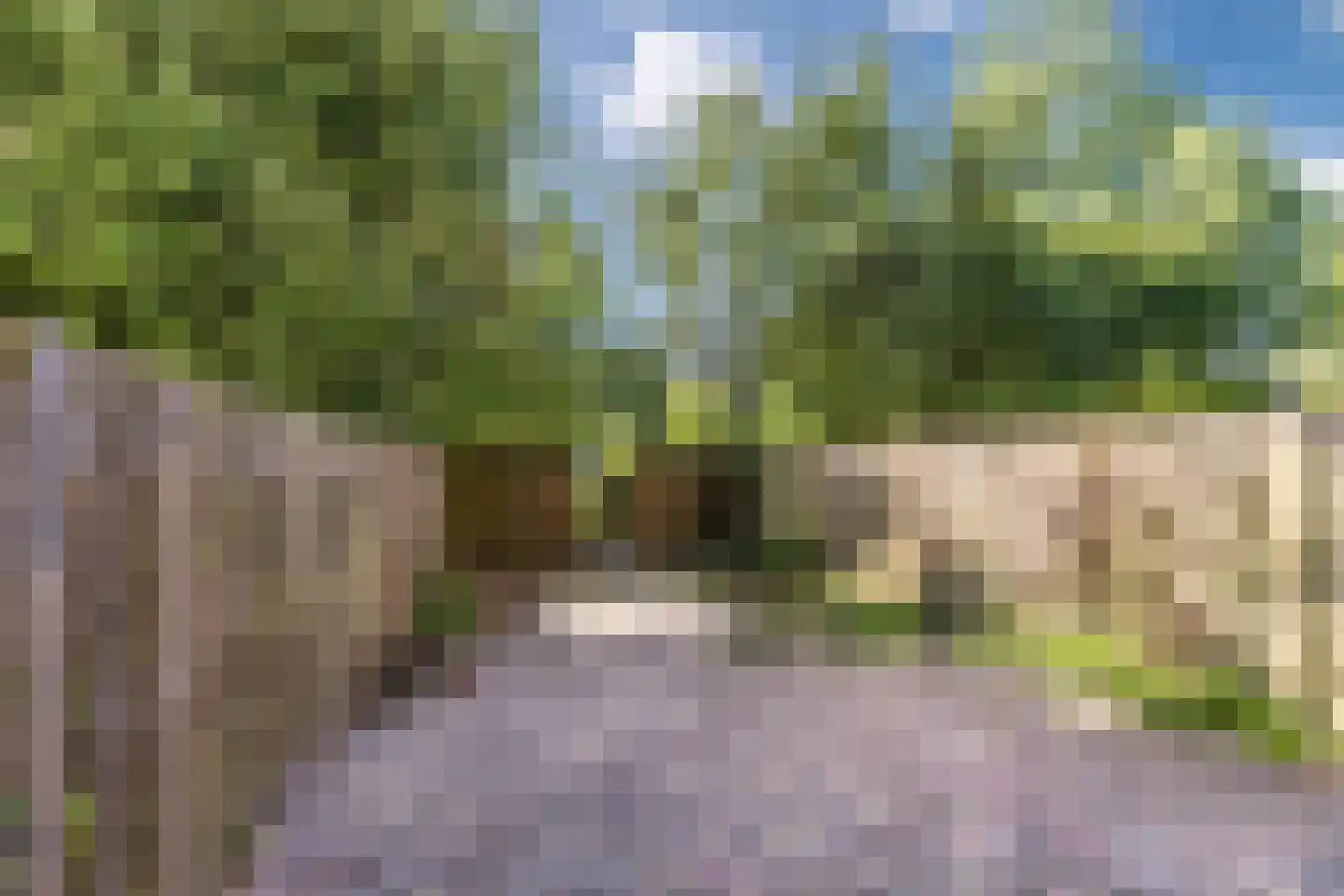 Appelgaarde 37 Voorburg thumbnail 12