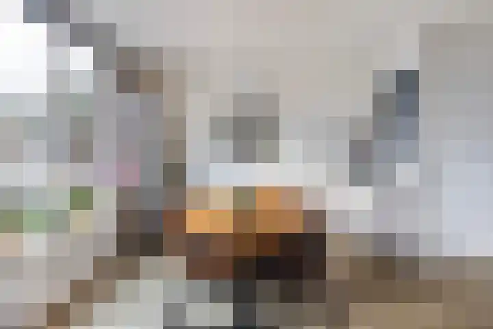 Appelgaarde 4 Rozenburg thumbnail 16