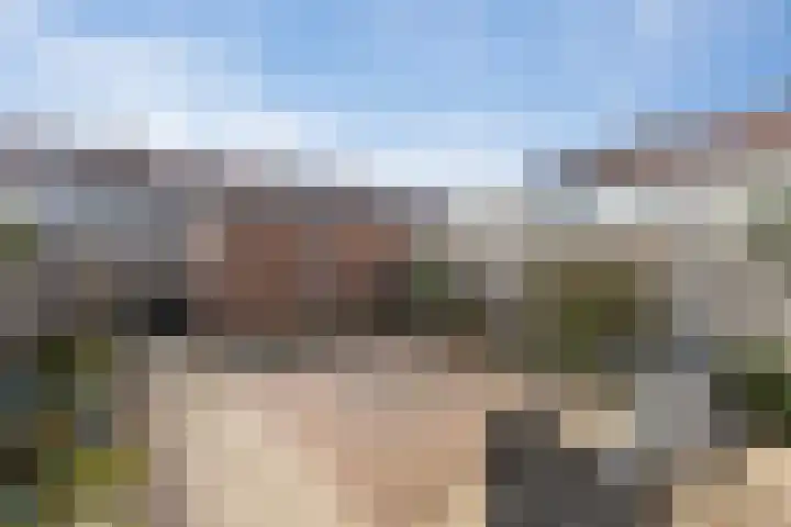 Appelgaarde 4 Rozenburg thumbnail 4