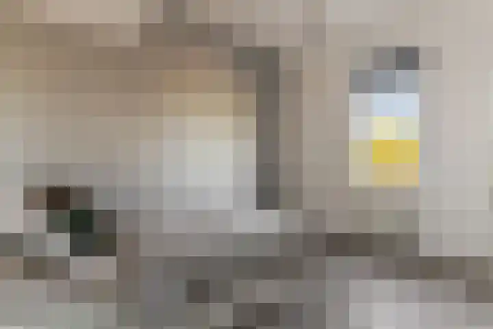 Appelgaarde 9 Hendrik-Ido-Ambacht thumbnail 15