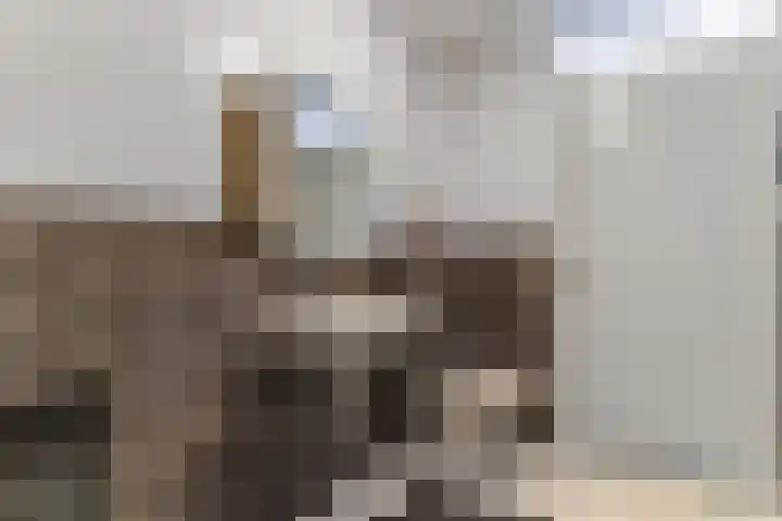 Appelgaarde 9 Hendrik-Ido-Ambacht thumbnail 21