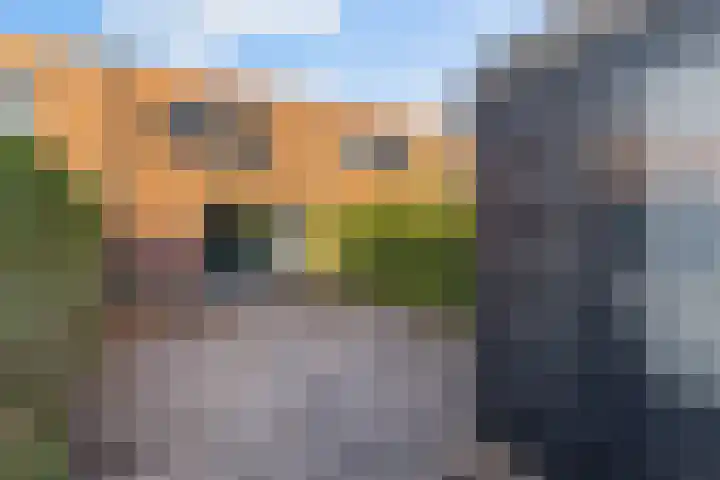 Appelgaarde 9 Hendrik-Ido-Ambacht thumbnail 22