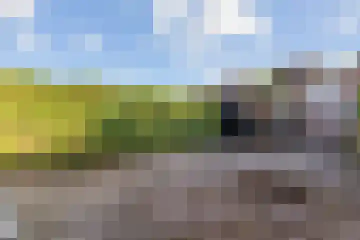 Appelgaarde 9 Hendrik-Ido-Ambacht thumbnail 24