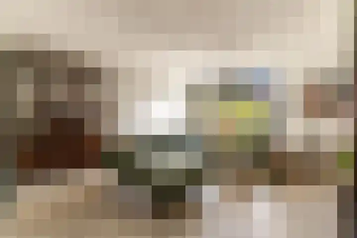 Appelgaarde 9 Hendrik-Ido-Ambacht thumbnail 5