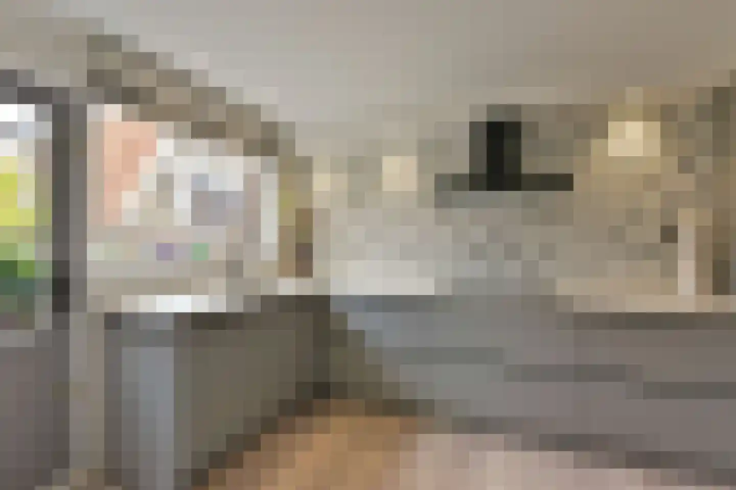 Appelhaven 1 Hoorn thumbnail 15