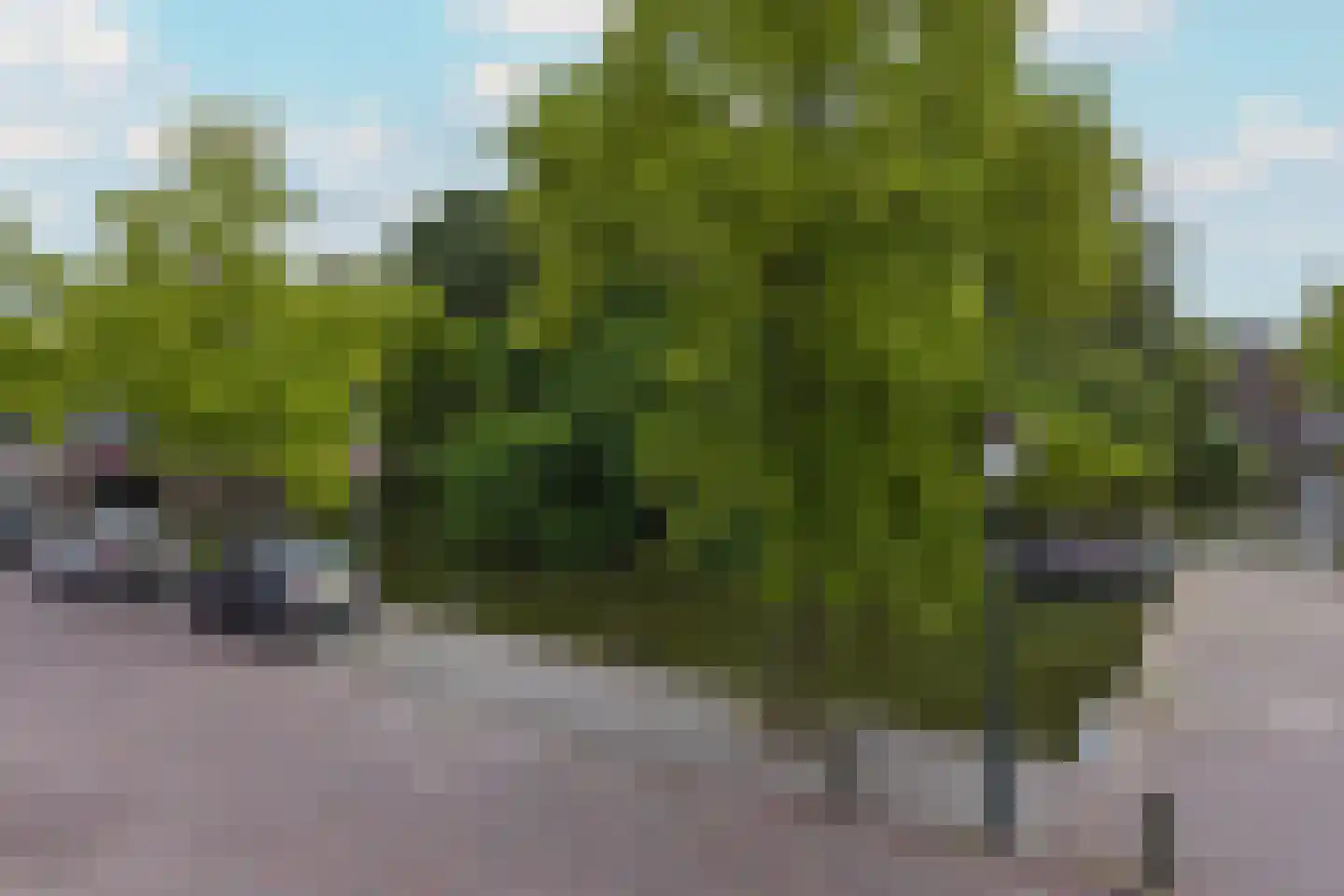Appelhaven 1 Hoorn thumbnail 42