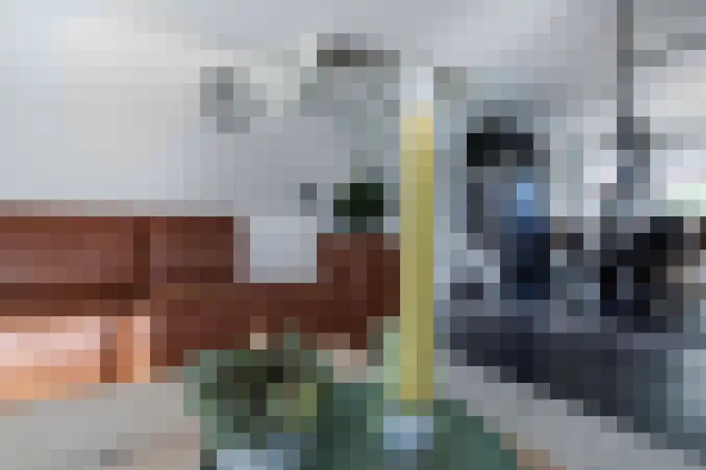 Appelhegge 1 Maastricht thumbnail 12