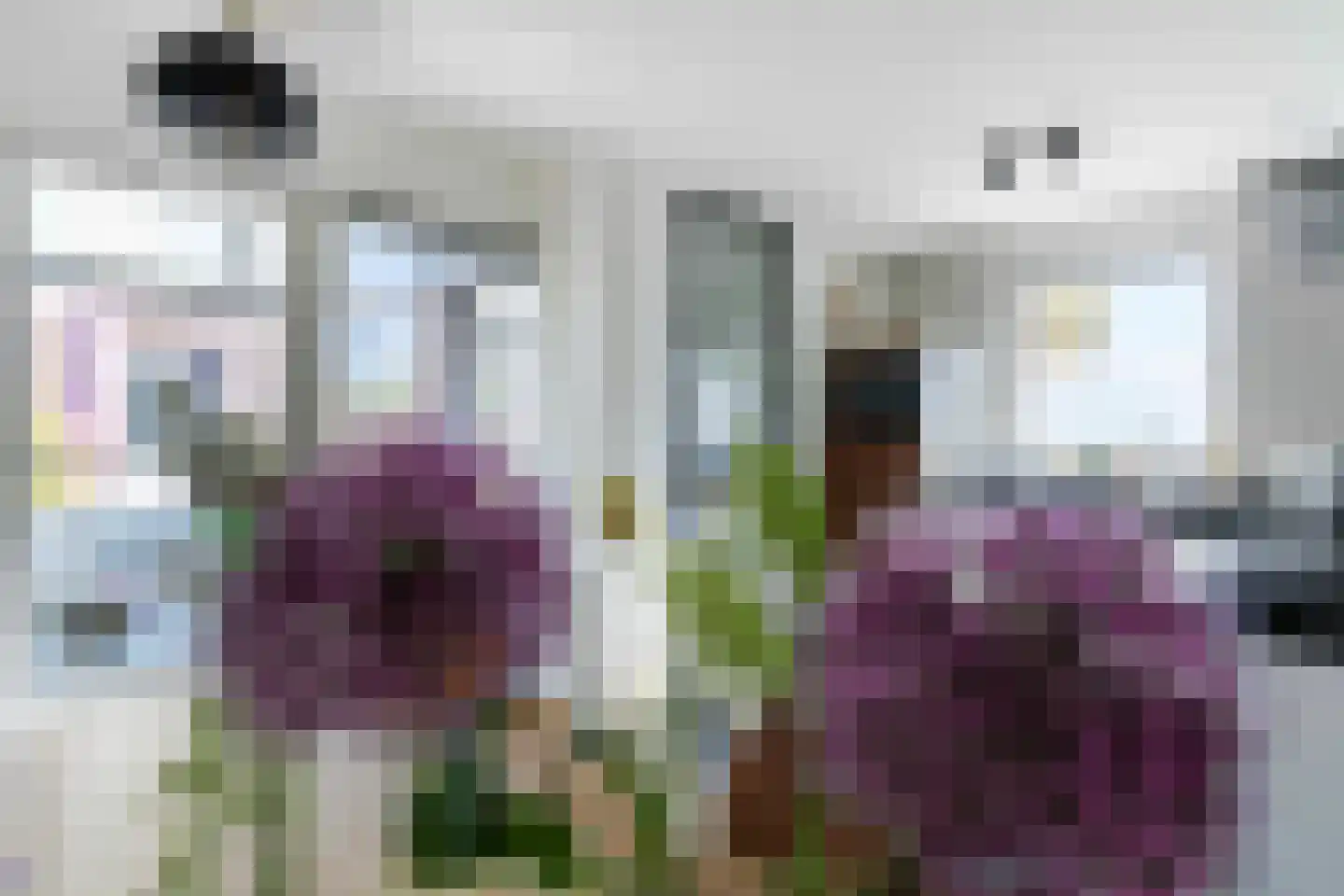 Appelhegge 1 Maastricht thumbnail 15