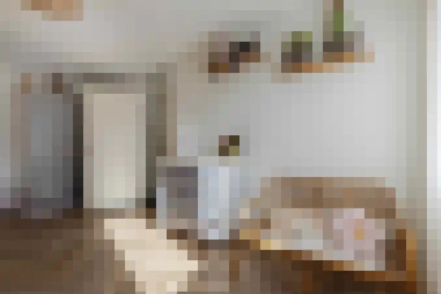 Appelhegge 1 Maastricht thumbnail 26