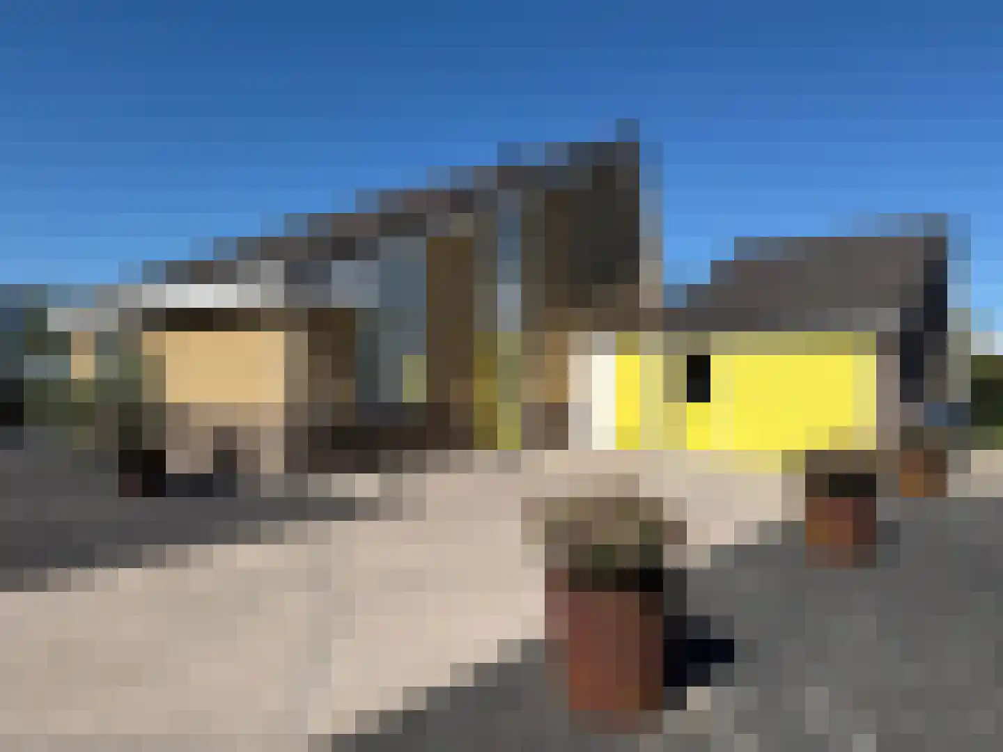 Appelhof 1 Loppersum thumbnail 10