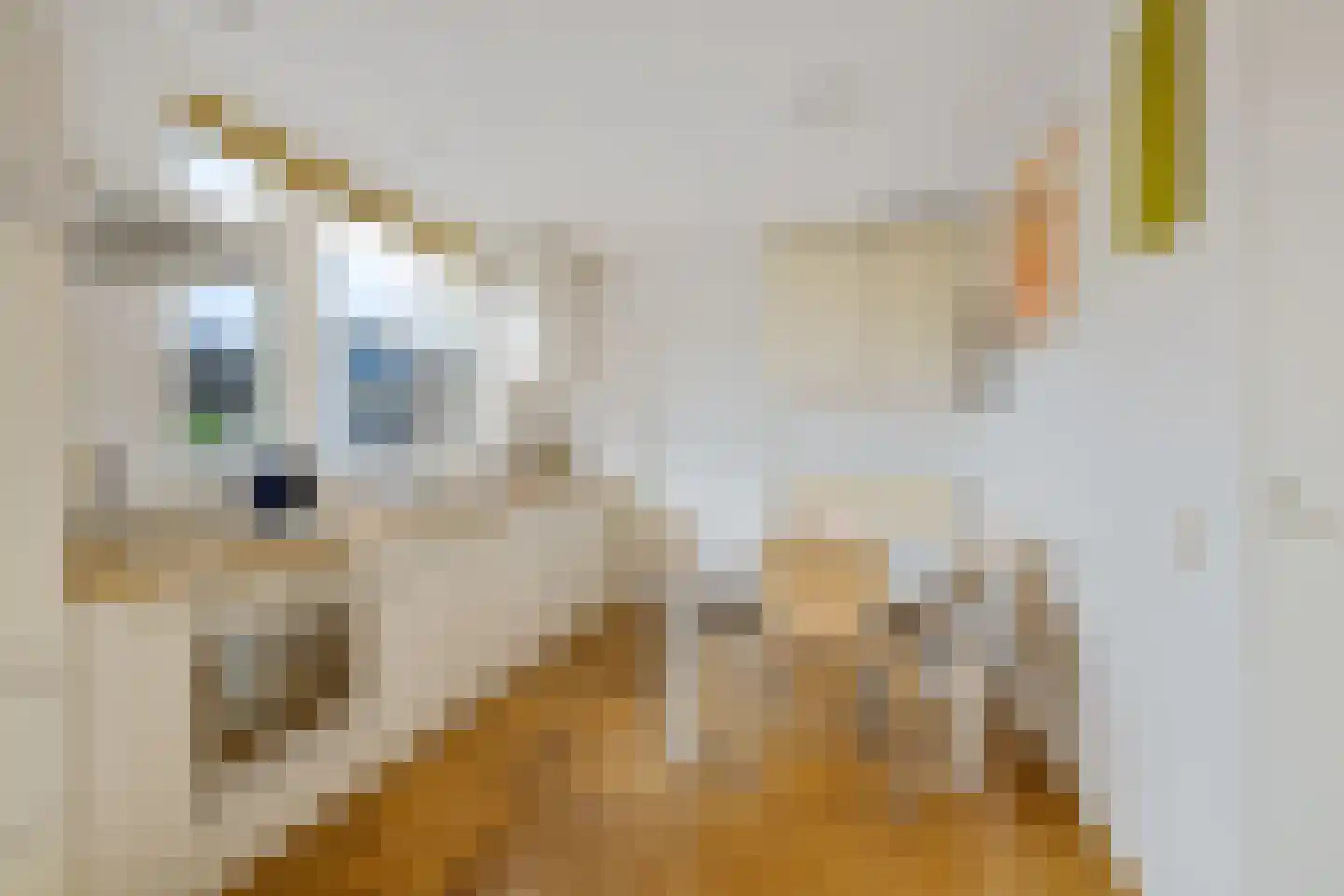 Appelhof 1 Loppersum thumbnail 31
