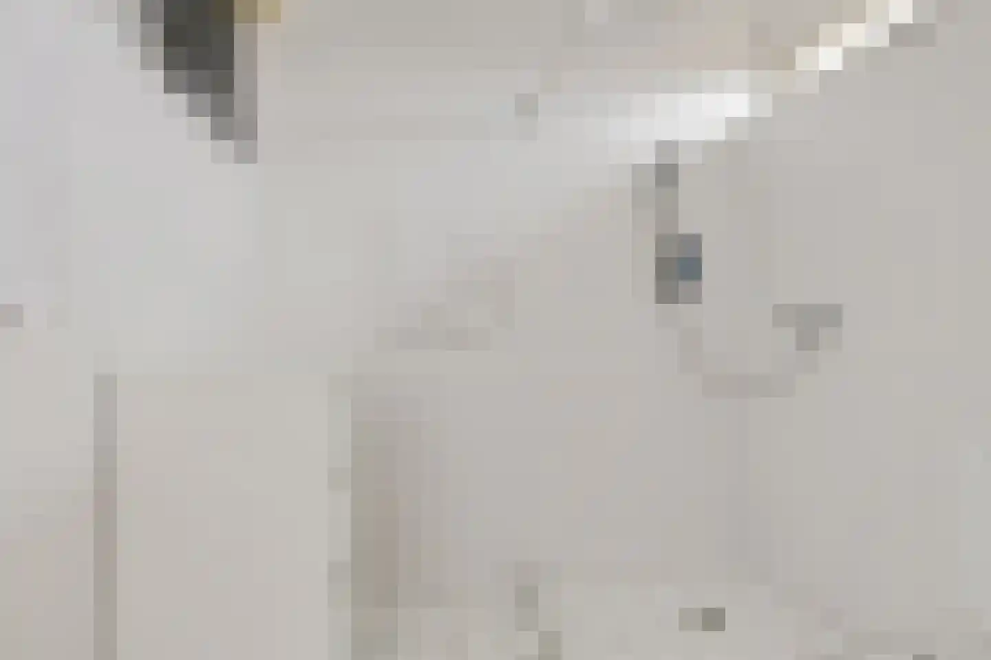 Appelhof 1 Loppersum thumbnail 36
