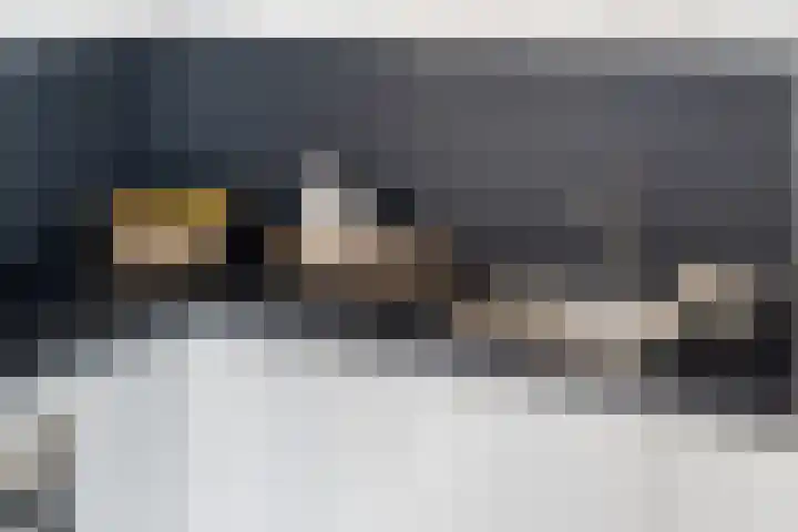 Appelhôf 10 Berltsum thumbnail 15