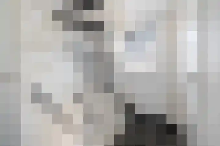 Appelhôf 10 Berltsum thumbnail 27