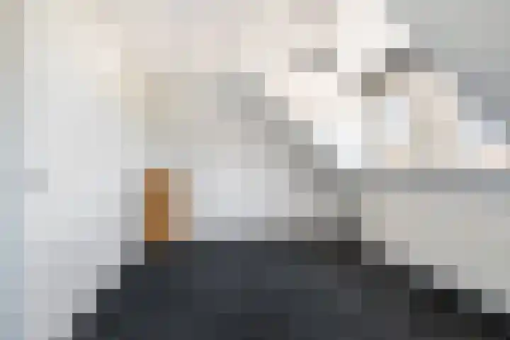 Appelhôf 10 Berltsum thumbnail 31