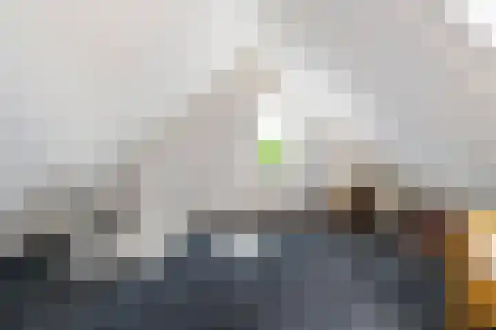 Appelhôf 10 Berltsum thumbnail 35