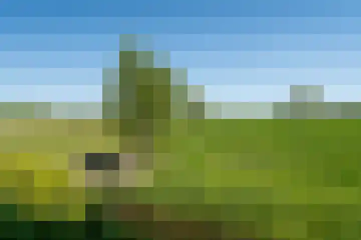 Appelhôf 10 Berltsum thumbnail 38
