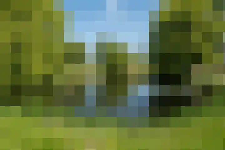 Appelhôf 10 Berltsum thumbnail 39