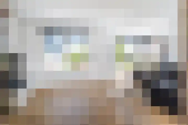 Appelhôf 10 Berltsum thumbnail 8