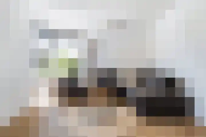 Appelhôf 10 Berltsum thumbnail 9