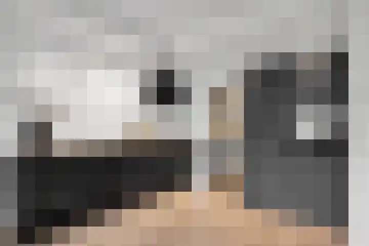Appelhôf 10 Langweer thumbnail 13