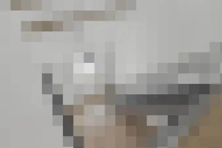 Appelhôf 10 Langweer thumbnail 16